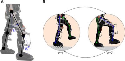 Closed-Loop Torque and Kinematic Control of a Hybrid Lower-Limb Exoskeleton for Treadmill Walking
